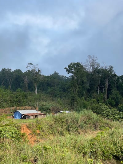 The image shows a landscape scene with a dense, green forest covering a hillside under a cloudy sky. In the foreground, there are two small, rustic structures, one with a blue tarp roof and the other with a corrugated metal roof. Tall grass and vegetation are abundant in front of and around the buildings. The ground appears to be a mix of reddish-brown soil and green growth. A single utility pole stands near the structures. The overall impression is one of a remote, rural setting. The location is identified as the city of Xayden, Laos.