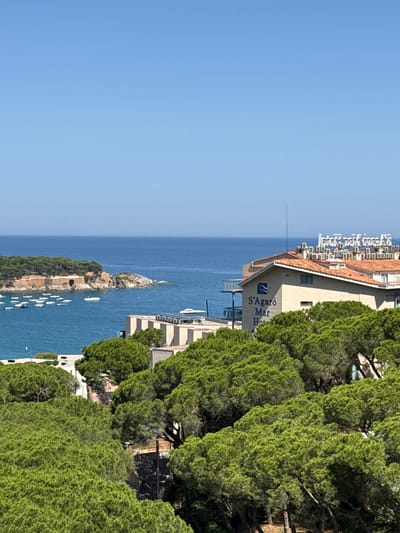 This media file captures a scenic view of a coastal town, likely Sant Feliu de Guíxols, Spain. The scene is dominated by the deep blue sea and a clear, bright sky, suggesting it was taken on a sunny day, likely in the morning or afternoon.
In the foreground, lush green pine trees cascade down a hillside, framing the view. Behind the trees, a multi-story building with a terracotta tiled roof is visible. The building has numerous air conditioning units on its roof. A prominent sign on the building reads "S'Agaró Mar Hotel".
The middle ground features a body of water with several boats anchored. A small, rocky island covered in trees juts out from the sea, with some ancient-looking stone structures on it. Further out, a larger island or peninsula, also densely vegetated, is visible.
The background is the vast expanse of the blue sea meeting the clear sky. The overall impression is one of a tranquil coastal resort, with a focus on the natural beauty of the sea and the surrounding landscape, alongside the presence of human habitation and leisure activities. The image is oriented vertically, with the sky at the top left and the sea extending downwards to the right. There are no people visibly present in the frame.