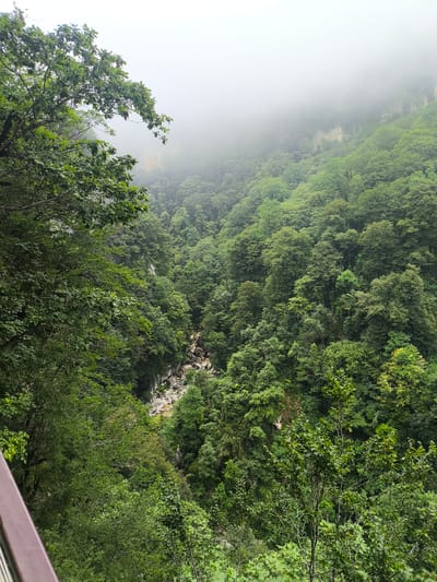 The image depicts a lush, green gorge with dense forestation covering the steep slopes. A narrow, rocky riverbed is visible at the bottom of the gorge, with a small amount of water flowing through it. The upper reaches of the gorge are shrouded in mist, suggesting a cool or humid climate. The vegetation consists primarily of deciduous trees with varying shades of green foliage. In the foreground, a railing or barrier suggests a viewing platform or pathway, offering a vantage point over the natural landscape. The overall impression is one of a wild and remote natural environment. This scene is located in the city of Satsiskvilo, Georgia.