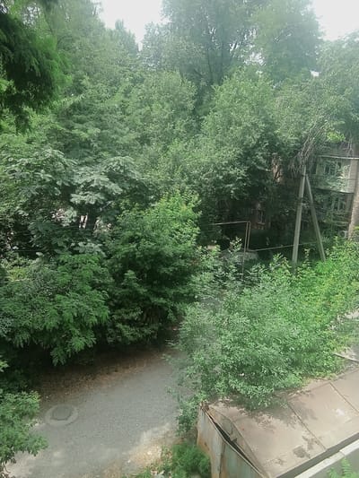 The image shows a dense, overgrown urban landscape in Alamüdün, Kyrgyzstan. A weathered, multi-story building with visible windows and what appears to be an air conditioning unit is partially obscured by lush green foliage. A concrete utility pole stands near the building, supporting electrical wires that are also entangled with tree branches. In the foreground, a section of a metallic structure, possibly a garage or shed, is visible. A gravel path winds through the scene, leading to a circular manhole cover. The overall impression is one of a slightly neglected, nature-reclaimed urban environment.
