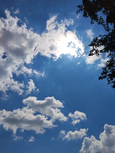This is a photograph of a bright blue sky filled with scattered white and gray clouds. The sun is visible, peeking through some of the clouds, creating a bright, hazy effect. In the upper right corner of the image, the dark silhouette of tree branches with leaves is visible against the sky. The clouds are puffy and varied in size and density, with some appearing more wispy and others more substantial. The overall scene suggests a sunny day, possibly late morning or early afternoon, given the intensity of the sunlight. The presence of the tree branches indicates an outdoor setting, likely in a natural or semi-natural environment. There is no visible text in the image.