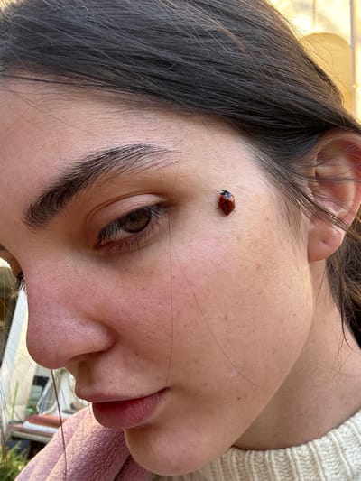 The image depicts a close-up, right-profile view of an individual's face in Vincennes, France. The subject is a young adult female with fair skin, dark brown hair partially visible, and a visible right eye looking downwards. A small, red ladybug with black spots is stationary on her right cheek, positioned between the outer corner of her eye and her hairline. Her right eyebrow is prominent, and her lips are slightly parted. She is wearing a light-colored, possibly cream-colored, knitted garment on her right side, with a pink fabric visible on her left side. The background is softly blurred, suggesting an outdoor setting with natural light, showing indistinct shapes that could be foliage and structural elements.