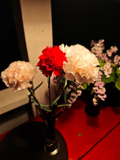 A low-light, indoor shot presents a vase of carnations on a red surface. Three carnations are clearly visible: one peach-colored, one red, and one white. A dark, narrow vase holds the flowers. In the background, to the right, is another vase with small, light-purple flowers. The background is primarily dark, with a vertical white element visible on the left. The red surface appears to be a table. The setting is unknown. The city of Свистуха (кузяевский С/о), Russia is not discernible. No people, actions, or interactions are visible.