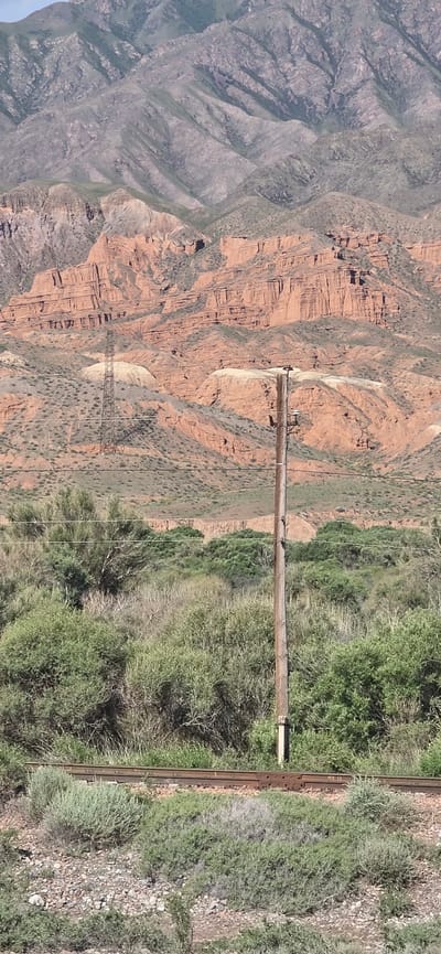 The image depicts a vast, arid mountain landscape with layers of reddish-brown rock formations. In the foreground, there are railroad tracks running horizontally across the frame, partially obscured by dense, green vegetation and scrub. A solitary wooden utility pole stands to the right of the tracks. In the midground, a metal electrical tower is visible against the backdrop of the mountains. The mountains themselves are rugged and appear to be sparsely covered with low-lying vegetation. The sky above is a pale blue, suggesting a clear day. The overall scene conveys a sense of remoteness and natural ruggedness. The location is identified as Krasnyy Most, Kyrgyzstan.