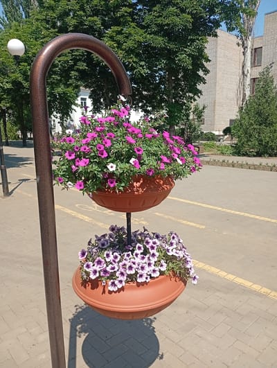 A two-tiered planter filled with pink and white petunias sits atop a bronze pole on a paved walkway. A second planter with purple and white petunias is suspended below the first. In the background, a brick building and trees can be seen. The scene appears to be in the city of Pokrov, Ukraine.