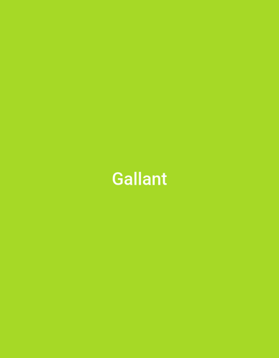 The image is a plain, solid, bright green background with the word "Gallant" written in white text in the center. There is no discernible location in the city of Gulak, Nigeria, as the image contains no geographical features or contextual elements.