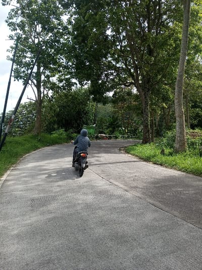 A person wearing a jacket and a hood is riding a scooter on a paved road curving between trees and green foliage. The road surface is textured with visible lines. Trees line both sides of the road, and power lines are visible on the left. The trees create a canopy overhead, casting shadows on the road. The scene appears to be rural or in a wooded area.