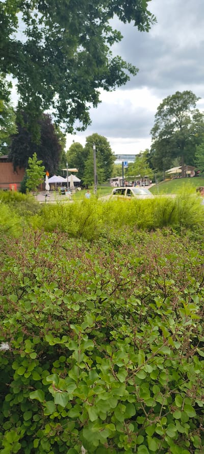 The image depicts a cloudy day in Hamburg, Germany, with a focus on lush green foliage in the foreground. In the mid-ground, a yellow taxi is visible on a paved surface, suggesting a road or parking area. Behind the taxi, several white and beige umbrellas suggest an outdoor seating area, possibly a cafe or restaurant. A sign with a blue "U" symbol, indicating a subway station, is visible in the background, positioned above trees. The overall setting appears to be a park or a green space adjacent to urban infrastructure.