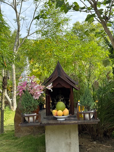 This image depicts a spirit house, typically found in Southeast Asia, specifically in the town of Liên Nghĩa, Vietnam. The spirit house is made of wood and has a pitched roof, with offerings placed around it. There is a plate of fruit, including a green fruit and several orange ones. Additionally, there are two small potted plants and a vase containing pink lilies near the base. The spirit house is situated outdoors, surrounded by lush greenery, including trees and other foliage, suggesting a garden or natural setting. The weather appears to be fair, based on the lighting and the presence of blue sky visible through the trees.