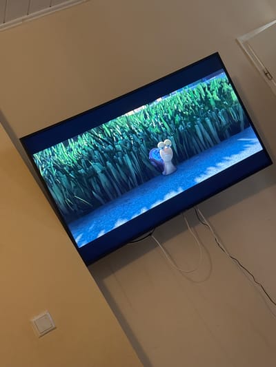 The image shows a television screen displaying a scene from the animated movie "Turbo." The scene features a cartoon snail with large eyes and a blue shell, positioned on a blue surface that appears to be water or a reflection. Behind the snail is a dense field of tall, green grass, with some white highlights suggesting light reflecting off the blades. The television is mounted on a wall, angled slightly downwards. The wall appears to be a neutral, light color, possibly beige or cream. To the left of the television, a square, white light switch is visible on the wall. Several white and black cables are connected to the television and trail down the wall. The overall environment suggests an indoor setting, likely a living room. The location is identified as Ahlen, Germany.