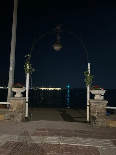 The image depicts a nighttime scene in Sant Feliu de Guíxols, Spain. The main subject is a wrought-iron archway adorned with green vines and small lights. A vintage-style lamppost with a glowing bulb is attached to the left side of the arch. At the base of the arch on the right, there's a decorative stone planter containing red flowers.
The archway frames a view of the sea, which is dark and reflects the lights of a distant structure or promenade. A faint green light is visible in the water, possibly from a buoy or boat. The foreground features a paved area with a distinctive patterned tile design in shades of red and beige. To the right, a weathered stone pillar supports one side of the arch and another planter with red flowers.
The overall atmosphere is tranquil and slightly romantic, suggesting a quiet evening by the coast. The time of day is clearly night, indicated by the darkness of the sky and the artificial lighting. No people are visible in the frame. There is some faded text on a sticker attached to a metal pole in the lower left portion of the image, but it is illegible. The location cues, such as the paving style and the presence of the sea, are consistent with a Mediterranean coastal town.