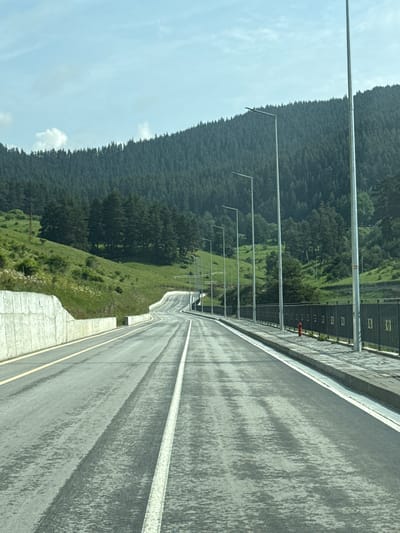 The image depicts a paved road winding through a mountainous, forested landscape. The road is wet and appears to have tire tracks. On the left side of the road, there is a low concrete retaining wall. On the right side, there is a sidewalk with a black metal fence and several lampposts. A red fire hydrant is visible next to the fence. The background is dominated by a densely forested mountain slope under a partly cloudy sky. The location is identified as the city of Dospat, Bulgaria.