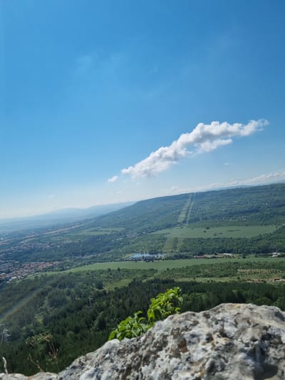 A high-angle, eye-level medium shot captures a vast, panoramic landscape under a clear blue sky with scattered white clouds. The foreground features the rough, textured surface of a large rock in sharp focus, with a few dried branches and green leaves emerging from its surface.
The midground transitions to a dense, dark green forest that covers a hillside. Within the forest, several tall, grey electricity pylons are visible, along with power lines stretching across the landscape. A subtle, faint rainbow arc is present in the lower left portion of the forest.
Further into the distance, the terrain opens up to reveal a mix of green fields and what appears to be a small lake or body of water. A section of lighter green fields, possibly agricultural land, is visible on a higher elevation. In the far distance, a sprawling town or city with red-tiled roofs is visible, nestled within a valley. Beyond the town, hazy, distant mountains stretch towards the horizon. The overall impression is a natural landscape with some human infrastructure integrated into it, offering a view of a town or city from a higher vantage point. The scene is likely captured from a viewpoint overlooking Gorna Oryahovitsa, Bulgaria, offering a perspective of the town and its surrounding natural environment.