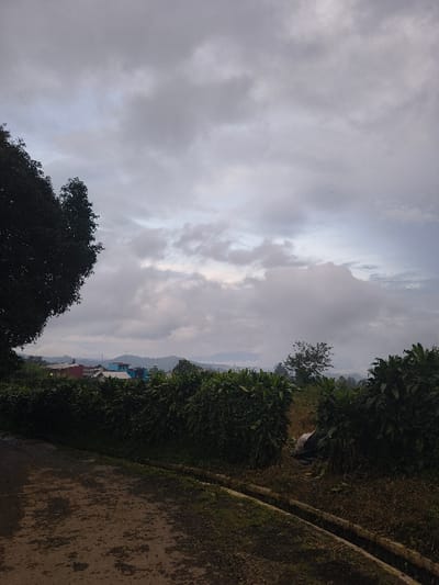 A landscape shot displays a cloudy sky above trees and foliage. A pathway or road edges the lower right, with vegetation bordering it. In the distance, houses and buildings are visible, hinting at a small town or village nestled among hills. The photograph appears to be taken in a rural or semi-rural environment, possibly during dawn or dusk based on the sky's lighting.