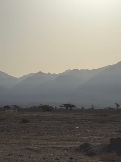 The image captures a landscape with mountains on the left side of the frame. To the right of the mountains, there's a land area covered in dark-toned soil and sparse vegetation. A few small trees are visible along the edge of the land area, where it meets the mountains. The sky and atmosphere create a hazy or muted lighting effect, with the sky color appearing light grey. The city of Eilat, Israel is not discernible in this image.