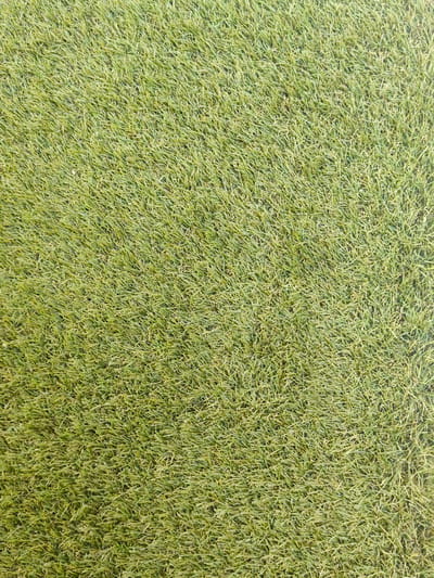 The image is a close-up, overhead shot of artificial turf. The turf is a consistent, light green color with a textured, somewhat matted appearance due to the density of the synthetic blades. There are no people, objects, or discernible environmental features visible beyond the turf itself. The location in Settimo Torinese, Italy, cannot be determined from the image content.