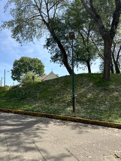 The image depicts a street scene in Les Ulis, France. A sidewalk with a yellow-painted curb runs along the right edge of the frame. Adjacent to the sidewalk is a grassy area, heavily covered with white cottonwood seed fluff. A green metal light pole is visible, extending from the ground and reaching up into the branches of a large tree overhead. A smaller tree and a white-roofed building are visible in the background. The sky is blue with light cirrus clouds.