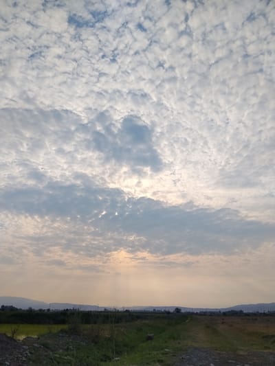 The image depicts a rural landscape in the city of Suzak, Kyrgyzstan, under a sky filled with fragmented, white and gray clouds. The sun is partially obscured by the clouds, casting faint, golden rays downwards. The horizon is lined with distant, undulating hills and silhouettes of trees. In the foreground, there is a dirt path cutting through grassy fields. To the left, a patch of green vegetation, possibly a rice paddy, is visible. The overall scene is tranquil and suggestive of early morning or late afternoon light. There are no people or animals present in the image.