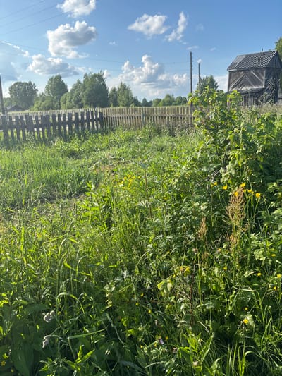 The image depicts a rural scene, likely in a village or on the outskirts of a city. In the foreground, there is a dense growth of tall green grass and various wildflowers, some of which are small and yellow. The grass is illuminated by sunlight, creating dappled patterns. In the midground, a rustic wooden fence runs horizontally across the frame, appearing somewhat weathered. Behind the fence, there are several deciduous trees and a tall, dark wooden structure with a slanted roof, possibly an old barn or silo. The sky is blue with scattered white cumulus clouds. Power lines are visible stretching across the upper portion of the image, supported by wooden poles. The scene evokes a sense of a natural, somewhat overgrown rural environment under a bright, sunny sky. There are no people or animals visible in the image.