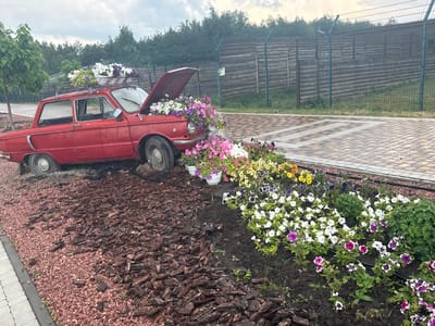 This is a medium shot, eye-level, outdoor photograph taken in Zaliznychne, Ukraine, on a cloudy day. The foreground is dominated by a red vintage car, possibly a Soviet-era model, with its hood open. The car is decorated with an abundance of colorful flowers, including white, purple, and pink petunias, placed both in pots on the car's roof and overflowing from the engine compartment. The car is parked on a surface covered with reddish gravel and dark wood chips. To the right of the car, a flowerbed extends, showcasing a vibrant display of white, purple, pink, and yellow petunias, interspersed with green foliage. A paved walkway, made of interlocking square tiles in shades of beige and gray, runs parallel to the flowerbed and car. In the background, a wooden fence borders a green, grassy area, and beyond that, a dense line of trees forms the horizon. A chain-link fence runs along the top of the wooden fence. The overall scene appears to be an artistic floral arrangement, possibly a roadside attraction or a decorative garden feature.