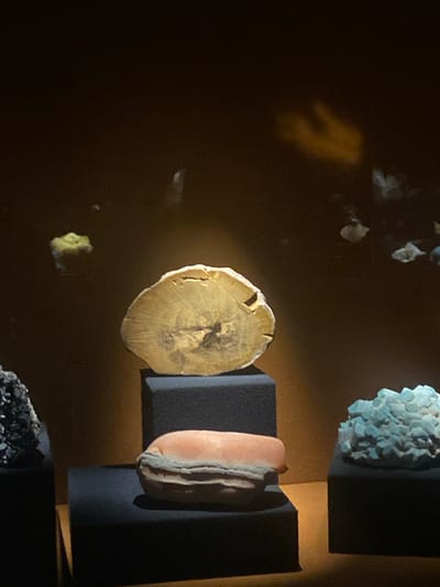 The image shows a display of minerals and geological samples within a museum or exhibition space. The background is dark, with focused lighting illuminating the objects on display. Items include a light blue crystal formation, a cross-section of a tree trunk, and a pink-tan, layered stone. All objects are displayed on small, black rectangular stands. The location is likely the Natural History Museum of Grenoble in France, based on the nature of the exhibits.