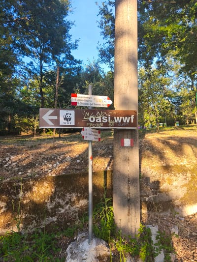 The image shows a trail marker post in Campochiaro, Italy. The post is made of concrete and has several signs attached to it. One sign points to the left and has the WWF logo, indicating a nature reserve. Another sign points to the right and lists destinations such as Guardiàreggia, Altilia-Sepino, S. Giuliano del Sannio, and Campochiaro. The post is located in a wooded area with trees and vegetation. The ground is covered with dry leaves and stones. Sunlight casts shadows on the ground and the post.