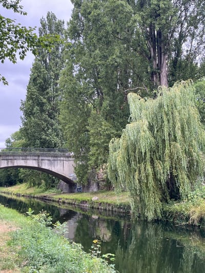 The image depicts a canal in Villeparisis, France, bordered by lush greenery. A concrete bridge with a metal railing spans the canal, with its arch visible over the water. Tall trees, including a prominent weeping willow with its branches cascading towards the water, line the banks. The water reflects the surrounding vegetation and the sky, which appears overcast. There are no people or animals visible in the frame. Graffiti is present on the concrete support structure of the bridge. The scene conveys a tranquil, natural setting within an urban environment.