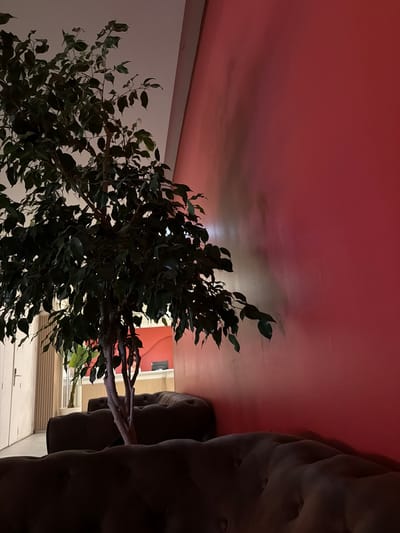 The media file displays an indoor scene with a large artificial plant as the central object. The plant has dark green leaves and a light-colored trunk and branches, with one branch extending prominently into the frame. In the background, a wall with a reddish-pink hue is visible, suggesting an indoor environment perhaps with mood lighting. To the right of the plant, a large, dark, upholstered object that appears to be a piece of furniture, possibly a sofa or armchair, dominates the side of the frame. Its texture suggests tufting or deep cushioning. The overall lighting is dim, with the reddish-pink wall being the brightest element, casting a soft glow. The perspective is unusual, as the image is oriented sideways, making the wall appear on the top and the floor on the bottom. This orientation, along with the indoor setting and the presence of furniture, suggests a domestic or commercial interior space. No people are visible. The time of day and weather are not discernible, but the dim lighting could indicate evening or a deliberately lit indoor atmosphere. No text is present in the image.