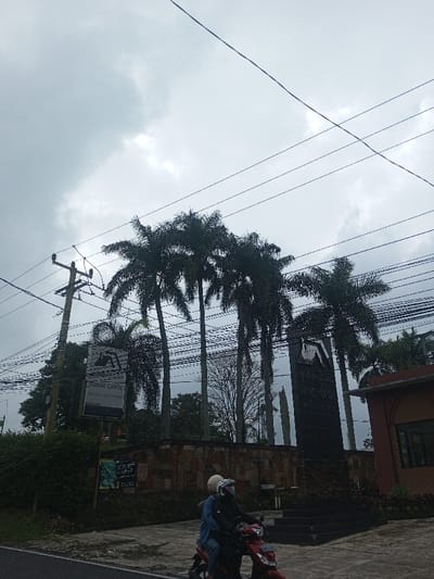 A daytime shot captures a cloudy sky above tall palm trees. Power lines stretch across the sky. Below the trees is a brick wall and monument. A sign is visible on the left. A red motorcycle with two people on it is in the foreground on the road. A building is seen on the right side of the image. The overall scene suggests a tropical or subtropical location.