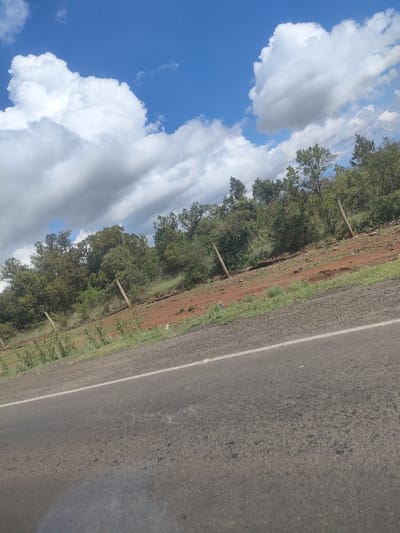 The image shows a roadside scene in Kisima Ward, Kenya. A paved asphalt road with a white edge line occupies the foreground. Beyond the road is a verge with short grass and sparse vegetation. Further on, a sloping embankment is covered with reddish-brown soil and scattered trees and shrubs. A rudimentary fence consisting of wooden posts and wire runs along the embankment. The sky is visible in the background and is blue with large, puffy white clouds. No people or animals are visible in the frame.