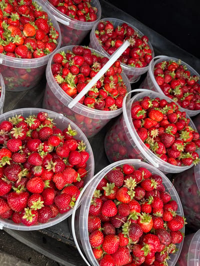 This image depicts multiple transparent plastic buckets filled with ripe strawberries. The buckets are arranged in a close-up, overhead shot. The strawberries are a vibrant red, with some showing green stems and leaves. The scene appears to be outdoors, possibly at a market or farm stand, given the quantity of fruit. The background is dark and out of focus, suggesting a natural light setting. There are no people or animals visible in the image. The overall impression is one of abundance and freshness. The location of Vorob'evo, Russia, is not visually apparent from the image itself.