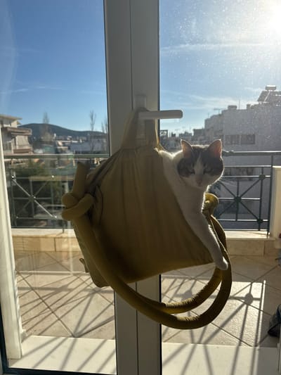 The image depicts a domestic cat resting in a fabric sling, suspended from the handle of a glass door, overlooking a sunny urban landscape in Anavissos Municipal Unit, Greece.

The cat, a white feline with grey and brown tabby markings on its head and back, is positioned with its body partially within a light beige or yellow fabric hammock. Its right front paw extends over the front edge of the hammock, and its eyes are narrowed, facing the viewer. The hammock is suspended by its fabric handles from a white door handle, which is part of a white-framed glass balcony door or large window.

Beyond the door, a tiled balcony floor is visible, receiving direct sunlight and casting sharp shadows from dark metal railings. The outdoor environment consists of multiple white or light-colored residential buildings with flat roofs. One building on the right has a visible solar water heater on its roof. In the mid-distance, a low, sparsely vegetated hill range is visible under a clear, bright blue sky. The upper right portion of the sky shows a strong sun glare, indicating a bright, sunny day. The glass of the door exhibits some streaks and reflections.