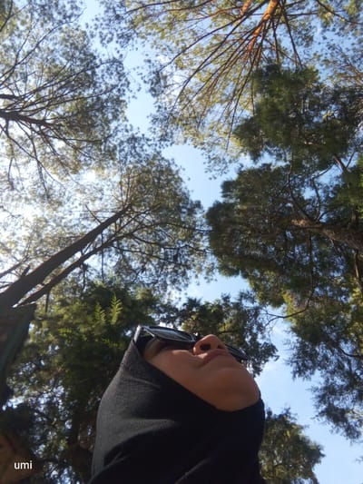 The image captures a low-angle perspective looking up through the branches of tall pine trees towards a clear blue sky. In the foreground, a person wearing a black hijab and sunglasses is partially visible, their face turned upwards. The person's skin tone appears to be light. The word "umi" is visible in the lower left corner of the image, suggesting it might be a name or a label. The environment appears to be a natural setting, possibly a park or forest, with dense green foliage and weathered tree trunks. The lighting suggests it is daytime, with sunlight filtering through the tree canopy. The location is identified as Gundaling 2, Indonesia.