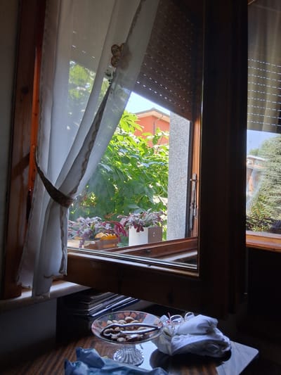 A still life photograph shows a view through an open window with a white curtain tied back on the left. Outside, green foliage from trees and the roof of an orange building are visible. Inside, on a wooden sill below the window, sits a glass bowl filled with nuts and a nutcracker. To the right of the bowl, a folded white cloth and a pair of eyeglasses rest on a dark surface. The scene is illuminated by natural light entering through the window.