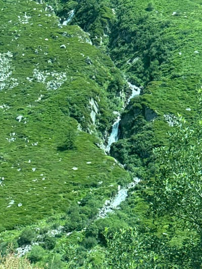 An aerial, high-angle, medium shot captures a lush, verdant mountain slope in Hospental, Switzerland, with a narrow waterfall cascading down its rocky terrain. The slope is covered in thick, bright green vegetation, interspersed with scattered light-colored rocks. The waterfall, a prominent feature, carves a path through the dense foliage, its white water contrasting with the surrounding greenery. Trees and bushes of varying sizes are scattered across the mountainside, adding depth and texture to the scene. The overall impression is one of a natural, untamed landscape, dominated by the vibrant colors of the Swiss Alps.