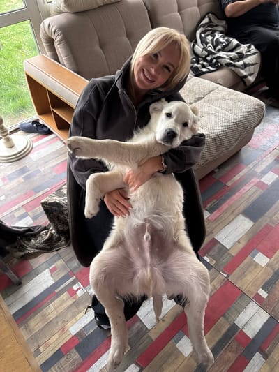 A woman with blonde hair is holding a large, white dog upside down in her lap. The dog is lying on its back, its legs splayed out. The woman is smiling and looking at the camera. They are sitting in a chair on a floor made of wood-patterned tiles with red, white, black and brown colors. In the background is a beige sofa, and out of the window there is greenery. The location is Ptichnoye, Russia.