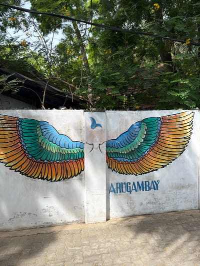 The image shows a white wall in Arugam Bay, Sri Lanka, adorned with a colorful mural of two large wings. The wings are painted with feathers in shades of blue, green, orange, and yellow, outlined in black. A small blue bird silhouette is painted above the gap between the wings. Below the right wing, the word "ARUGAMBAY" is written in blue capital letters. The wall appears weathered with some peeling paint. The ground in front of the wall is paved with interlocking stones. Lush green trees with some yellow flowers overhang the top of the wall, and power lines are visible in the upper part of the image. The scene is illuminated by daylight, casting shadows on the ground.