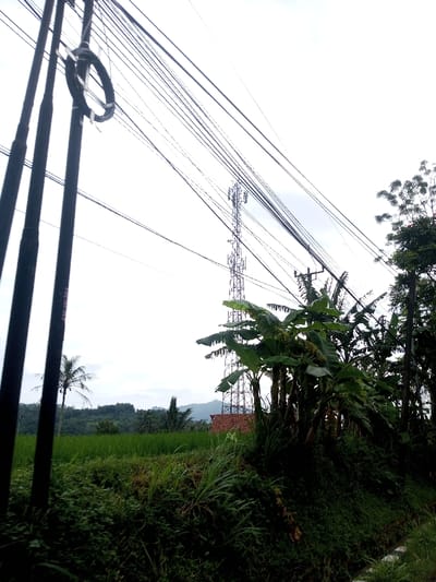 The scene, located in Kamji Na-Yekha, Bhutan, depicts a rural landscape under an overcast sky. In the immediate foreground on the left, three dark, vertical utility poles are visible, with multiple black electrical or communication wires extending horizontally across the upper portion of the frame. A coiled bundle of wires is secured to the leftmost pole. In the midground, a tall, grey metallic cellular or telecommunications tower, equipped with multiple antenna arrays, stands prominently. Adjacent to the tower's base and extending to the right, a dense cluster of large-leafed plants, consistent with banana trees, partially obscures the view. To the left of these plants, a vibrant green cultivated field, likely rice paddies, stretches towards the horizon. A reddish-brown tiled roof of a structure is partially visible behind the foliage near the base of the tower. Another utility pole with wires is present further to the right, behind the banana trees. The background consists of distant forested hills and mountains. A single palm tree is visible on the far left horizon, above the green field. No individuals, animals, or discernible actions are present in the image.