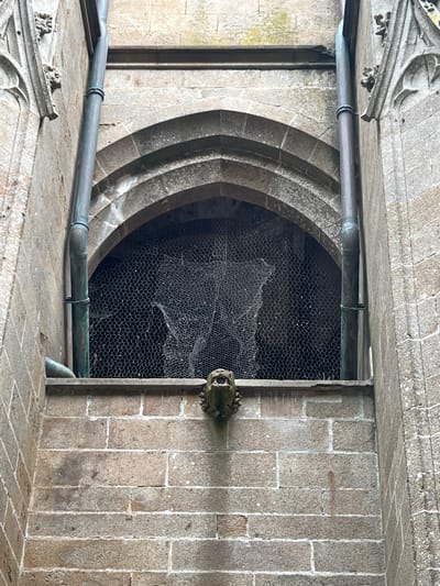 This is a close-up, eye-level exterior shot of a stone wall with an arched window at Le Mont-Saint-Michel, France. Two dark metal downspouts run vertically along the sides of the stone facade, flanking the arched opening of the window. The window itself is covered with a dark, hexagonal wire mesh, behind which is a large, intricate spiderweb. A small, grotesque carved stone face, likely a gargoyle or waterspout, protrudes from the wall directly below the window. The stonework appears weathered and ancient, consistent with the historic architecture of the Mont-Saint-Michel abbey. The overall color palette is dominated by earthy tones of gray and brown stone, with the green patina of the copper downspouts.