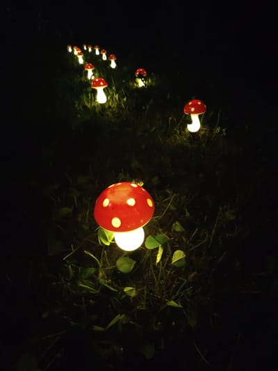 The image depicts a line of illuminated mushroom-shaped garden lights on a patch of grass at night. The lights are red with white spots, mimicking toadstools, and emit a warm yellow glow from their bases, illuminating the surrounding blades of grass and clover leaves. The closest light is in the foreground and is the largest and most detailed, with a small dark insect perched on its cap. The other lights recede into the darkness, creating a sense of depth and a whimsical pathway. The scene is set outdoors, in a naturalistic environment, likely a garden or park. There is no indication of the city of Tervel, Bulgaria, or any specific location information in the image itself.
