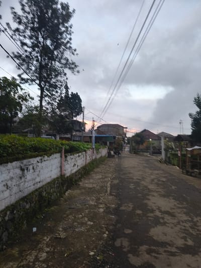 A narrow road stretches into the distance, bordered by a low, white wall overgrown with green vegetation. Houses and buildings line the road, disappearing into the background. Above, power lines cut across a cloudy sky, hinting at the fading light of dusk or dawn. A silhouetted tree stands to the left, its branches reaching towards the sky. The overall scene is one of quiet rurality under a somber sky.