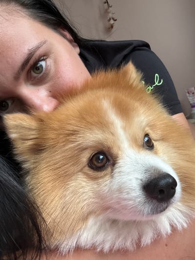 The image is a close-up, vertically oriented selfie featuring a person and a dog. The person's face is partially visible on the left side, with their green eye looking directly at the camera. Their dark hair is also visible. The dog, a light brown and white corgi, is positioned in the center and right of the frame, its face tilted upwards. The dog's prominent features include its dark nose, brown eyes, and fluffy fur. The subjects appear to be indoors, suggested by the soft lighting and the presence of what looks like a cotton stalk in the background on the left. The overall mood is intimate and relaxed. There is a green embroidered logo on the black t-shirt the person is wearing, but the text is not clearly legible. The context provided places this scene in Rogosh, Bulgaria.