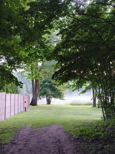 The image shows a pathway leading through a grassy area in a park or residential setting. On the left, a concrete fence runs along the edge of the property, and to the right, dense foliage from trees creates a natural border. In the background, a body of water is visible, shrouded in a light mist. The sun is partially obscured by the leaves of trees, casting dappled light on the scene. The overall atmosphere is serene and natural, suggesting an early morning or late afternoon setting. The location is identified as within the administrative boundaries of Ляснянскі сельскі Савет, Belarus.