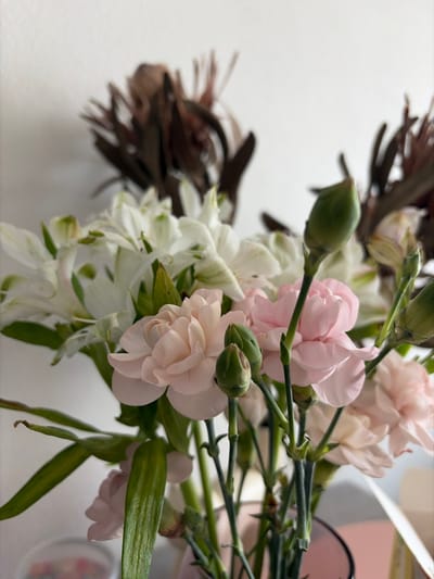 The image displays an indoor floral arrangement located in Yanino-1, Russia. The primary subjects are a bouquet of fresh cut flowers consisting of white alstroemeria with faint green markings and multiple light pink carnations or dianthus, presented at various stages of bloom, including open flowers and numerous green buds on their stems. These flowers are contained within a partially visible, pink-toned glass vase situated at the bottom of the frame. The background consists of a plain white wall immediately behind the bouquet and, further back and highly blurred, several dark brown, spiky dried botanical elements. A faint, out-of-focus outline of a light-colored object with a pink hue is visible in the lower right background. No people, specific actions, or interactions are depicted.