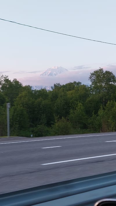 This is a vertically oriented, slightly blurred photograph taken from a moving vehicle on a highway. The scene captures a natural landscape alongside a man-made road.

The primary subjects are a large, snow-capped mountain peak visible in the distance, partially obscured by soft, pinkish clouds, and a dense line of lush green trees that runs along the edge of the road. The road itself is paved and has white lane markings, indicating it's a multi-lane highway. The right side of the frame shows the side of a vehicle, likely the one from which the photo was taken, with a blurred turquoise-green exterior.

The activity appears to be a journey along the highway, with the perspective suggesting the vehicle is moving at a moderate speed. The lighting suggests it is either early morning or late evening, given the soft, diffused light and the pastel colors in the sky and around the mountain. The presence of the mountain, dense forest, and a highway points towards a scenic route possibly in a mountainous or volcanic region. The image does not contain any visible text. The overall mood is serene and suggests the beauty of a natural landscape observed during travel.