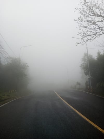 The image depicts a foggy road in Neerveli, Sri Lanka. The asphalt road is dark grey and appears wet, featuring a solid yellow center line curving towards the right in the midground and a white line marking the left edge. Visibility is severely limited by dense, white fog that envelops the entire scene. No people, subjects, actions, or interactions are visible. On the left side of the road, a streetlight pole with a horizontal arm extends upwards, with multiple overhead utility lines partially visible behind it, connecting to an unseen point further left. Further along the left, obscured by fog, is a yellow and black striped barrier or guardrail. Trees and dense vegetation line both sides of the road, their forms indistinct due to the fog. Another streetlight pole is partially visible on the right side of the road, further into the distance. Bare tree branches are discernible against the fog in the upper right quadrant of the image. The environment is characterized by heavy atmospheric moisture and low visibility.