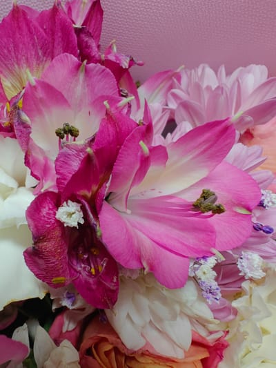 A close-up, eye-level shot focuses on a bouquet of flowers. The arrangement features a variety of blooms in shades of pink, white, and peach, with some flowers showing signs of wilting. Prominently displayed are vibrant fuchsia alstroemeria with speckled petals, their stamens tipped with dark green anthers. Interspersed are delicate white and light pink chrysanthemums, their layered petals creating a soft texture. The background is a textured pink surface, possibly fabric or paper. There is no visible indication of the city of Hadiach, Ukraine, or any specific environmental context beyond the floral arrangement itself. The image captures a still life of flowers, emphasizing their intricate details and textures.