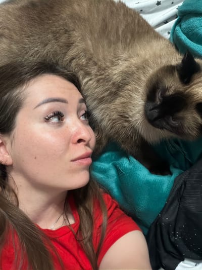 A close-up, high-angle shot shows a woman and a Siamese cat lying on a bed. The woman is on the left, facing right, with her head tilted up. She has long brown hair, is wearing a red t-shirt, and her left ear is adorned with a gold hoop earring. A silver necklace rests on her collarbone. Her expression is contemplative as she gazes upwards. Beside her, partially obscuring her, is a Siamese cat, its head facing forward. The cat has brown fur with darker points on its face and ears. It is nestled on a teal blanket. The background shows a white sheet with black star patterns and a dark fabric with white speckles. The scene appears to be indoors, in a bedroom, and there is no indication of the location being in the city of Япрыково, Russia.