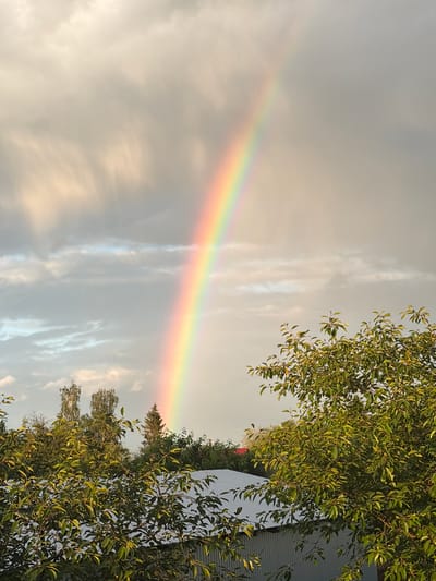 The image captures a vibrant rainbow arching across a cloudy sky, positioned slightly to the left of center. The sky is filled with soft, diffused light and streaks of grey and white clouds. Below the sky, the tops of lush green trees are visible, some with visible foliage and branches. A portion of a corrugated metal roof is also in view in the foreground, along with more trees. The scene appears to be an outdoor environment in a residential area, potentially a backyard or a neighborhood. The presence of trees and a roof suggests a non-urban setting. The location of Hanniv, Ukraine is mentioned in the prompt, but there are no specific visual cues in the image to confirm this location.