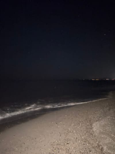 The image depicts a beach at night in Torreilles, France. The sky is dark with a few faint stars visible. The sea is dark and calm, with a gentle wave breaking on the shore. The beach is sandy and appears to be covered with small pebbles and shells. In the distance, there are a few lights visible, suggesting a settlement or a town along the coast. The overall scene is quiet and serene, evoking a sense of peacefulness. There are no people or animals visible in the image. The photograph was likely taken with a low-light setting to capture the ambient light in the dark environment.